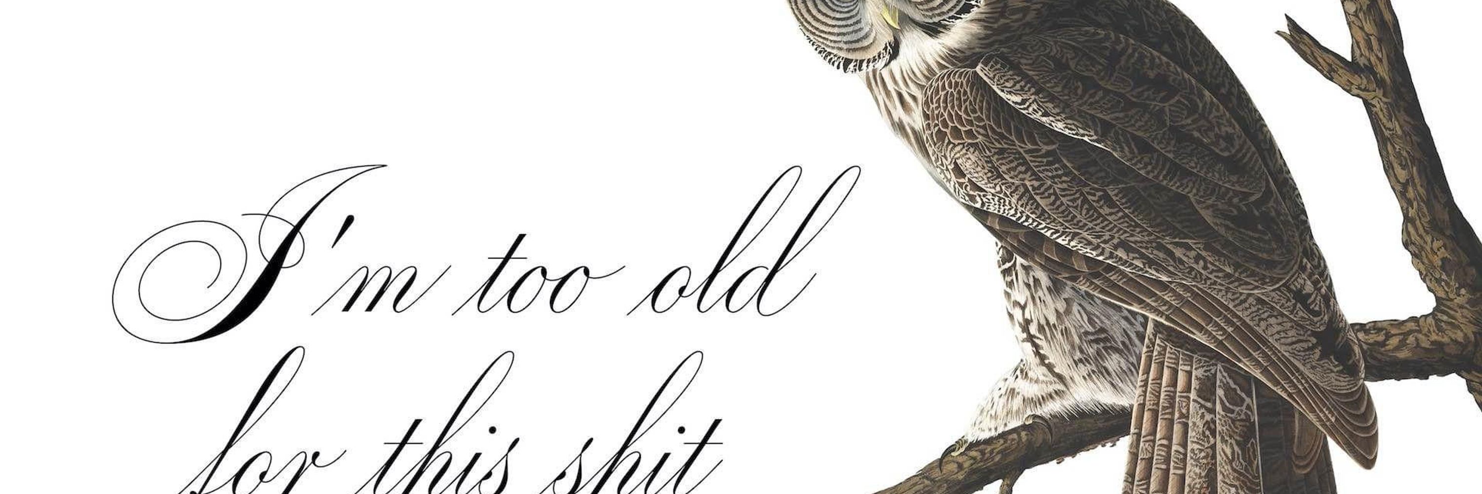 Owls