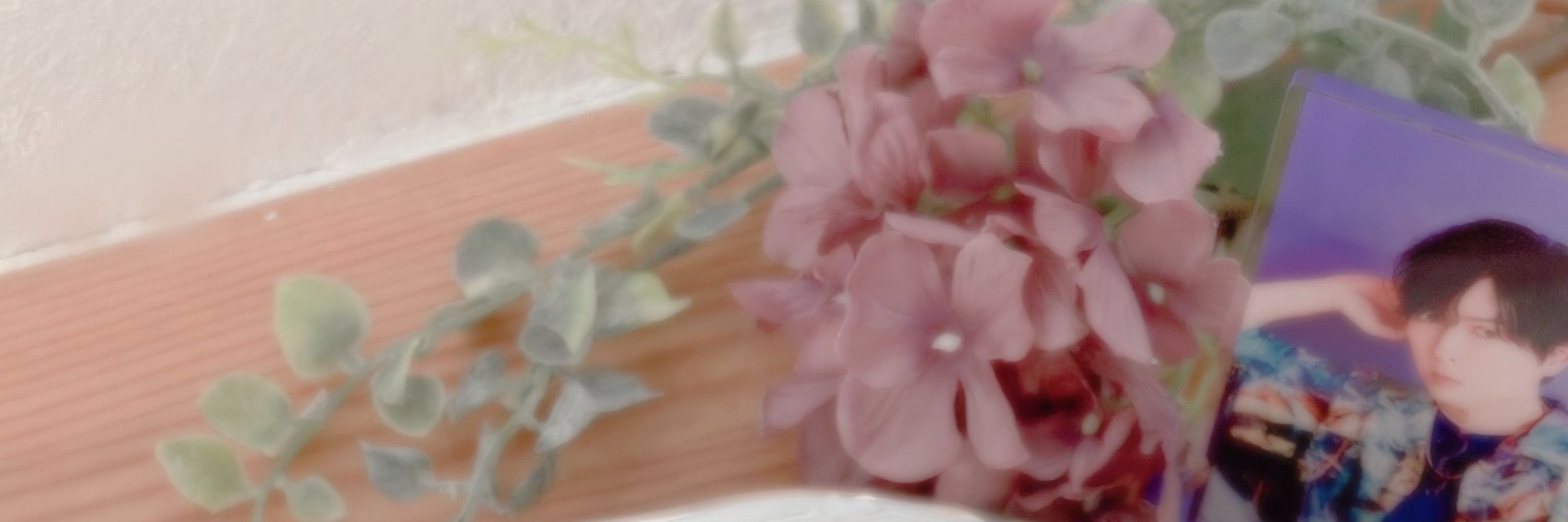 *yoshimi*