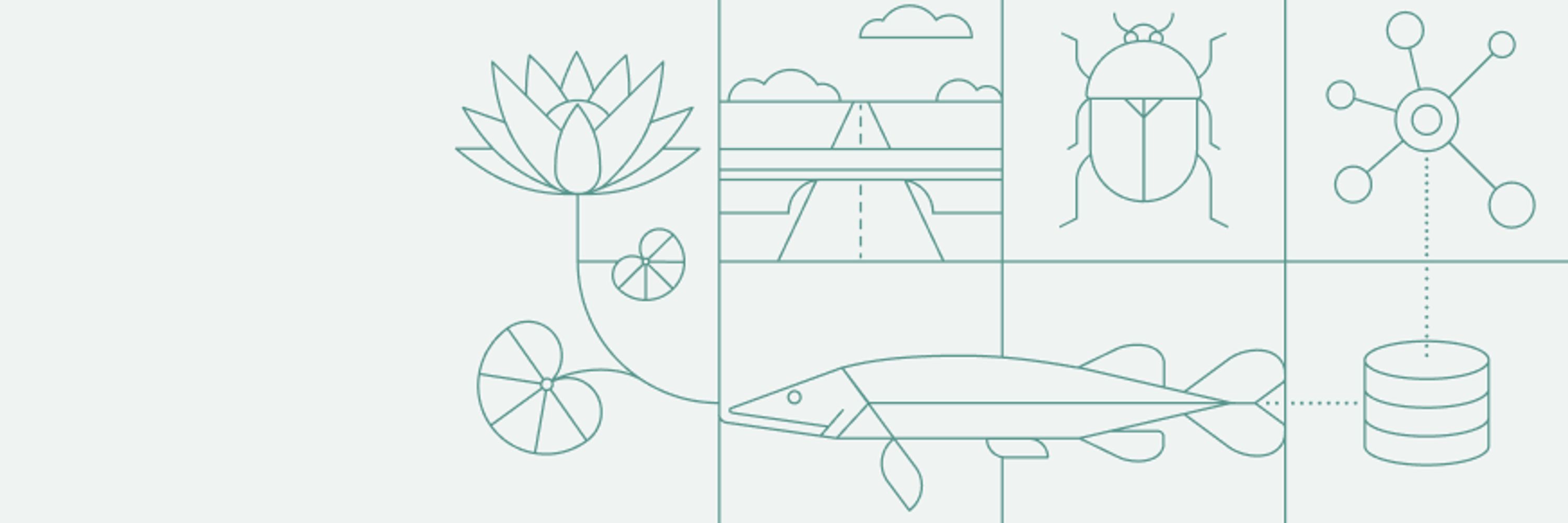 Nationale Databank Flora en Fauna