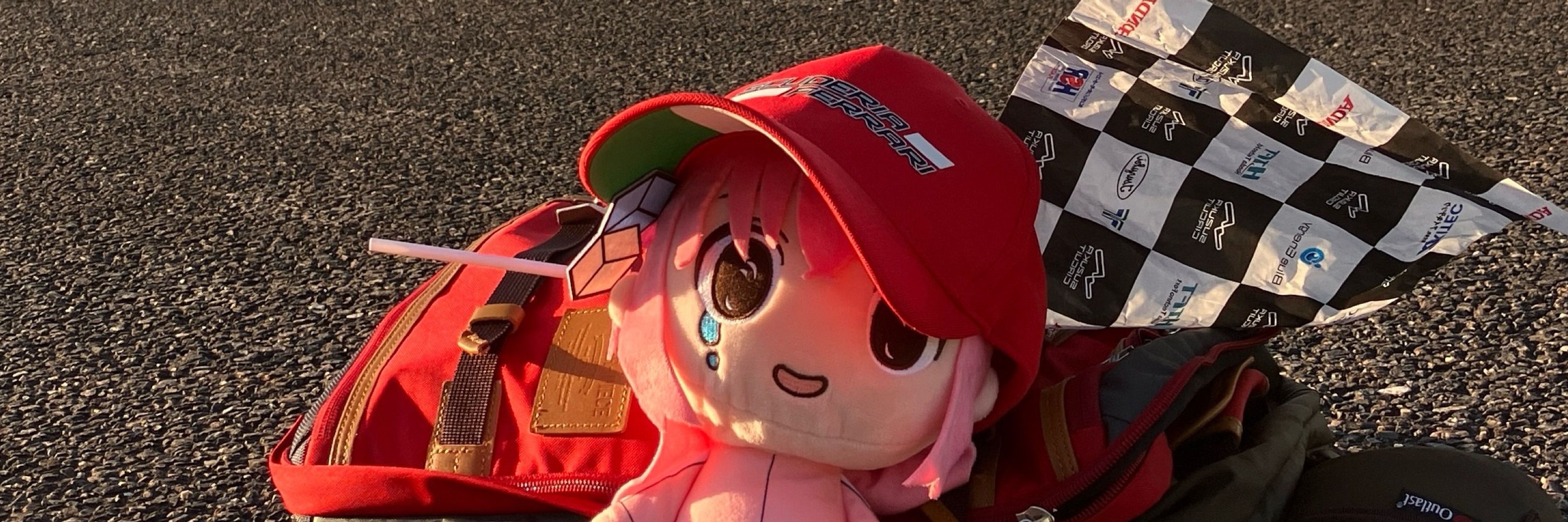 BIGしゃけFLY