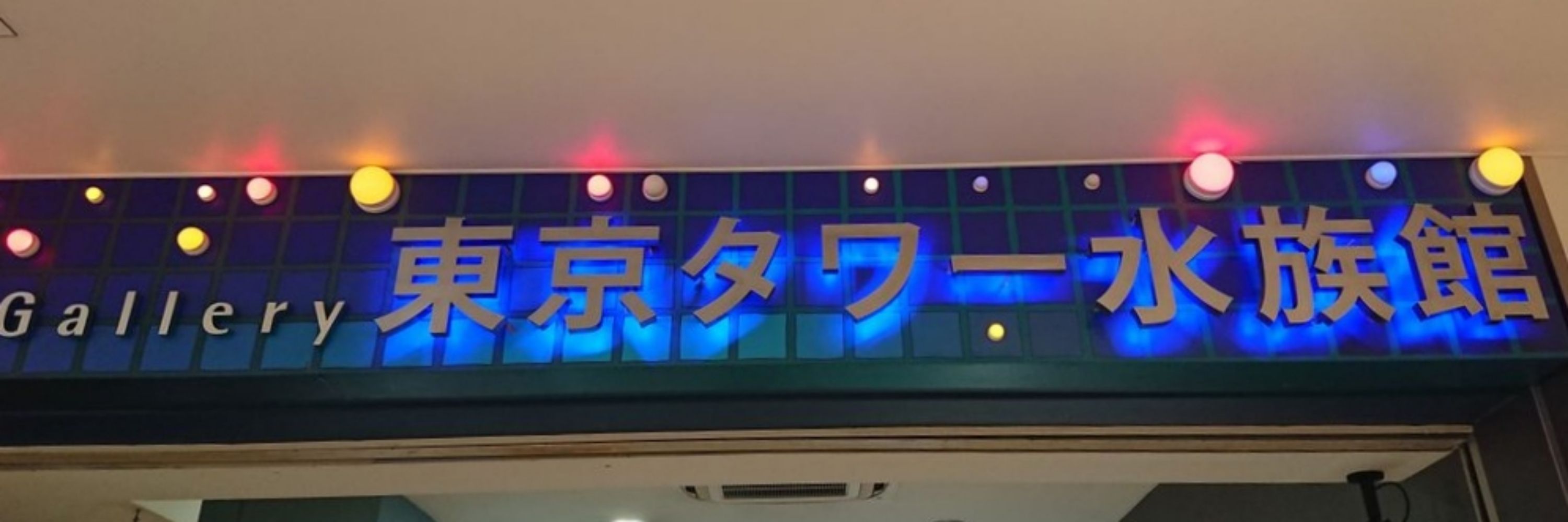 るぺお👑✨🗼