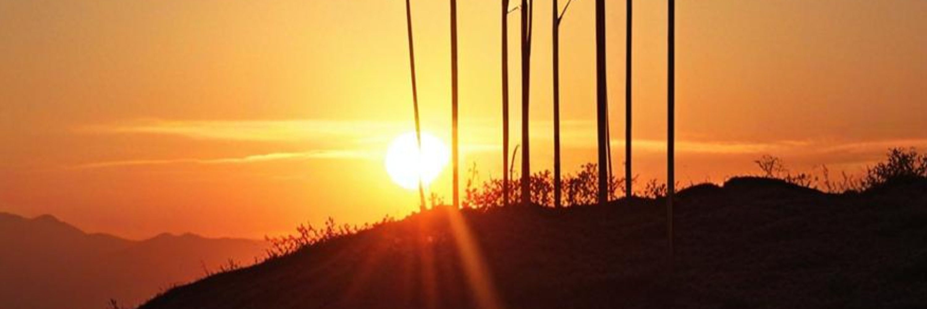 Arrows of the Sun