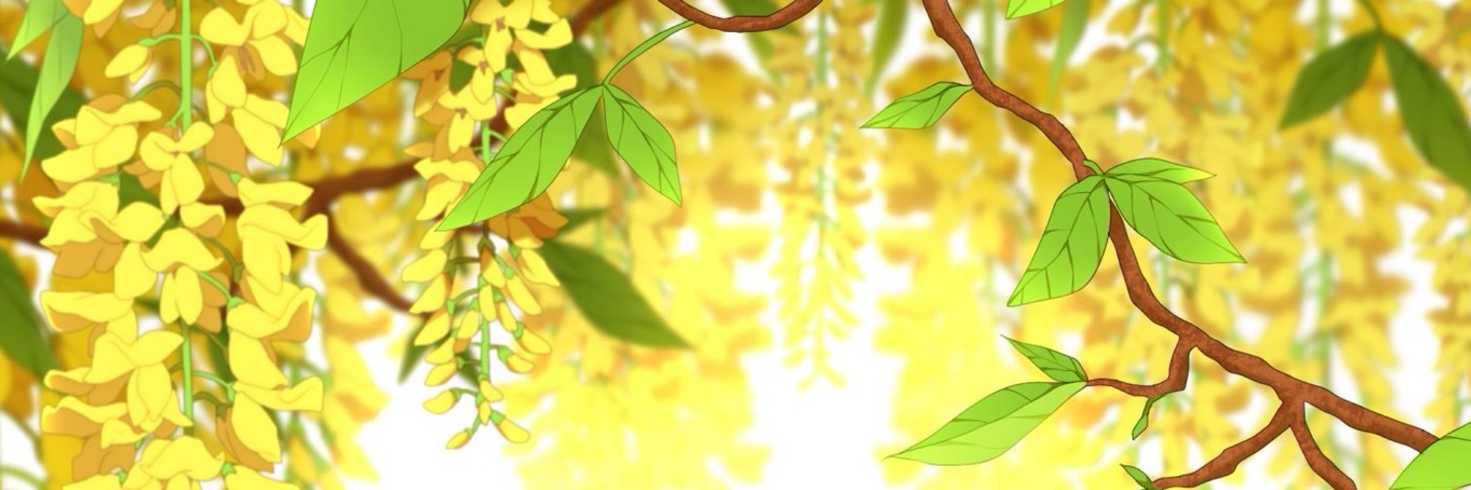 翠葉（みどりは）🌿