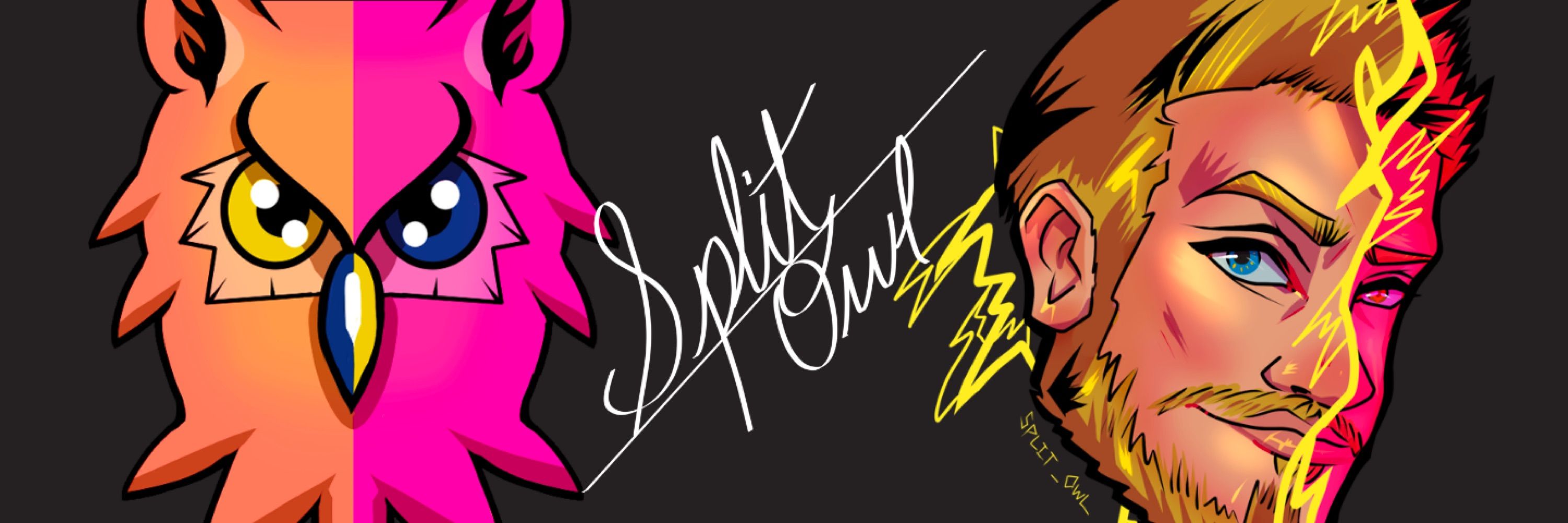 Split_Owl