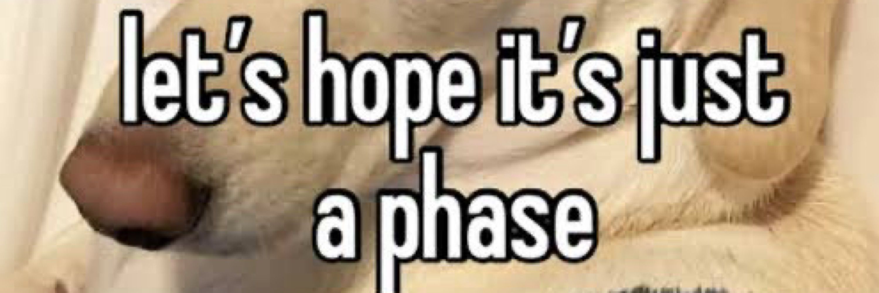 Hyltbhar