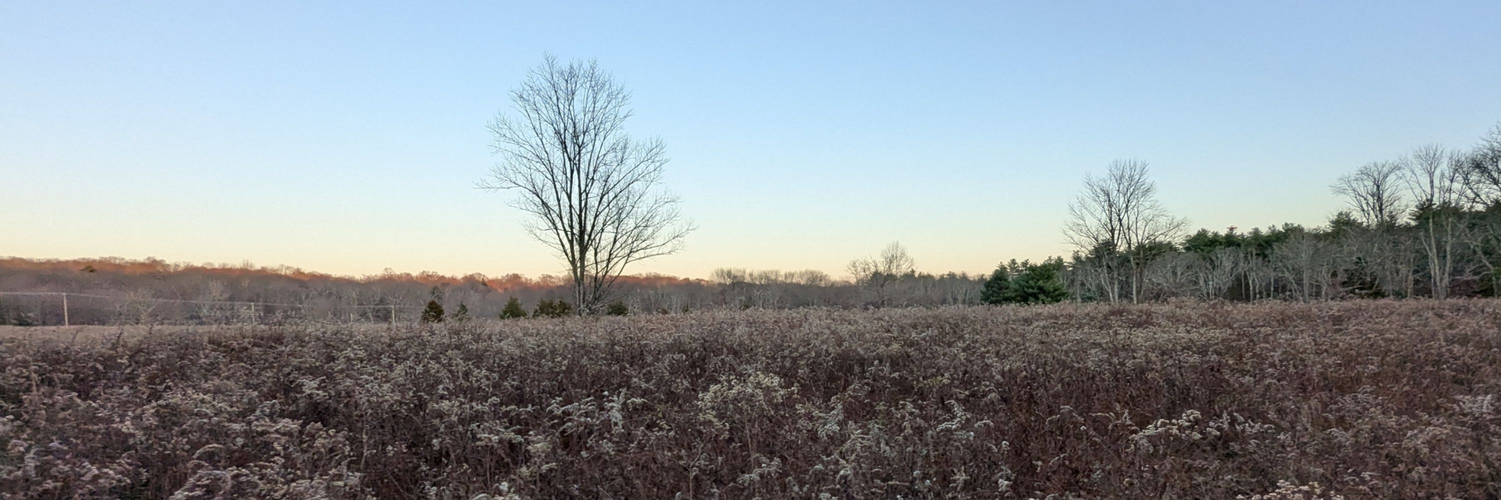 Rhode Island Natural History Survey