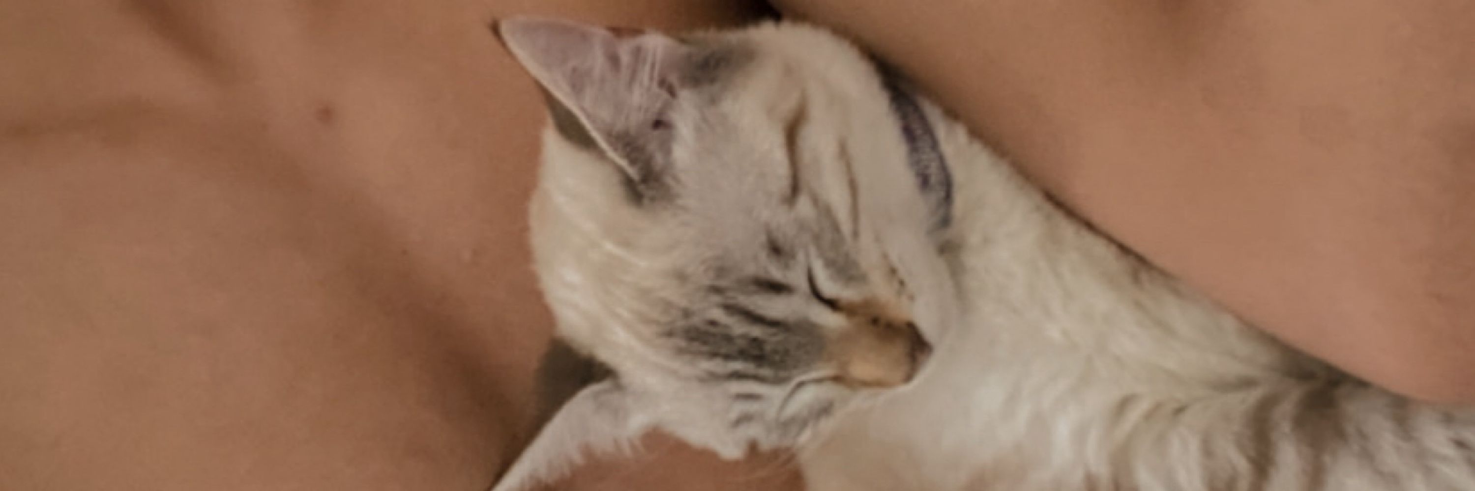 Benja
