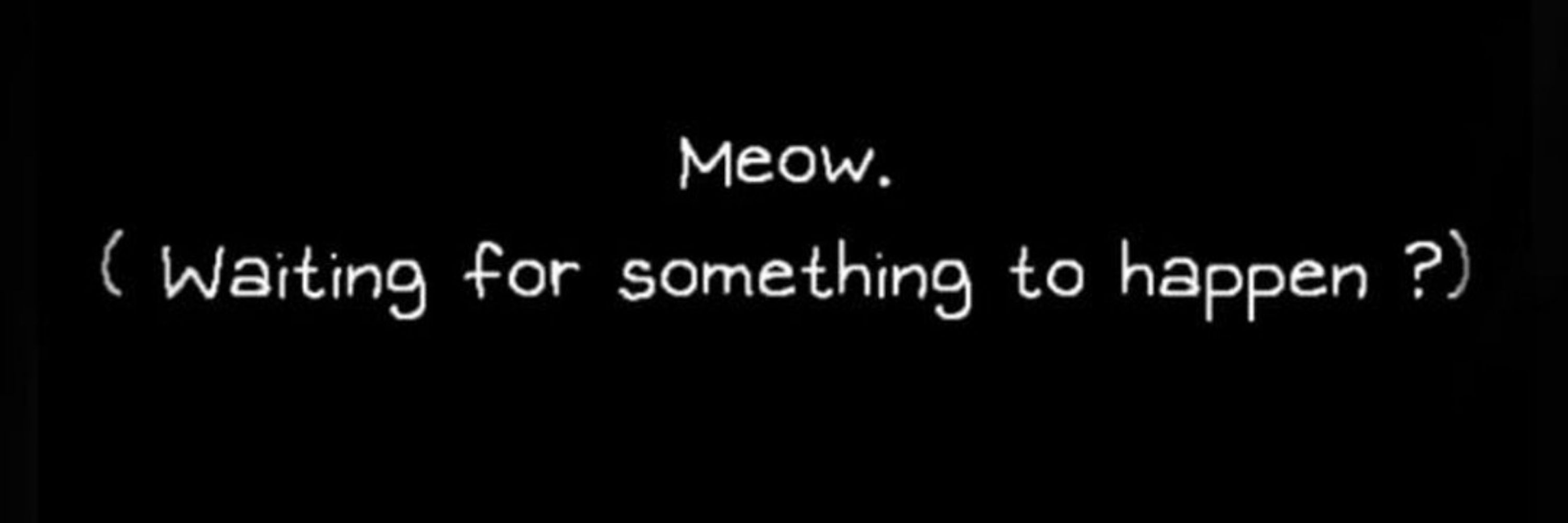 Da💫StarCat