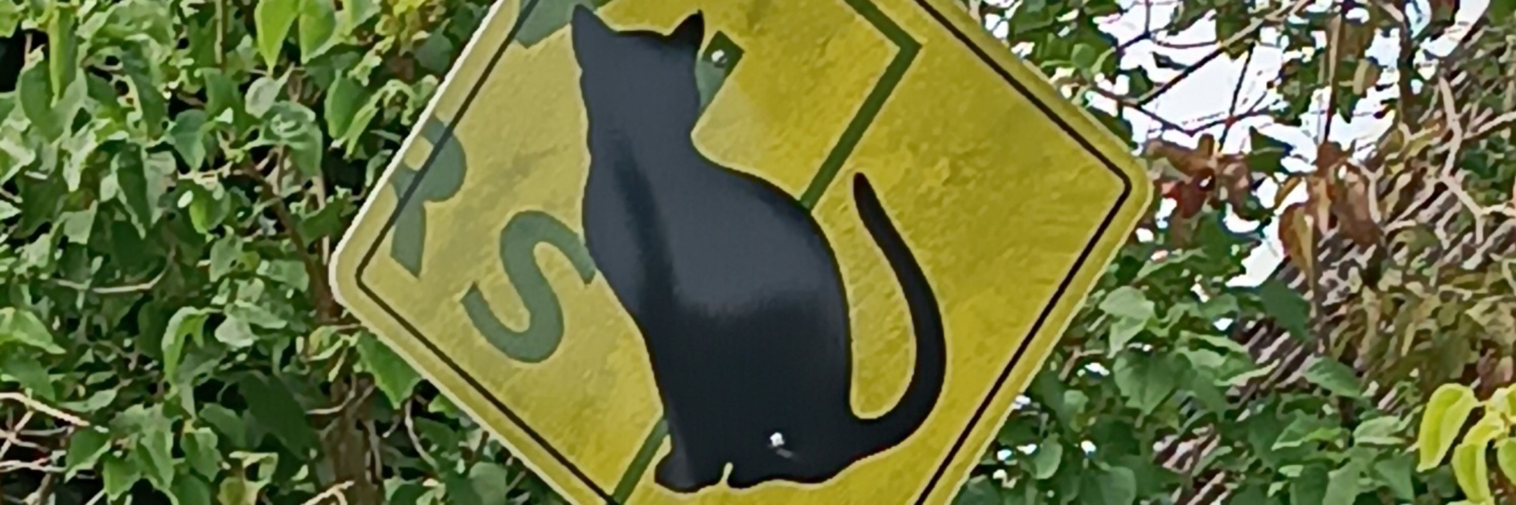Molia