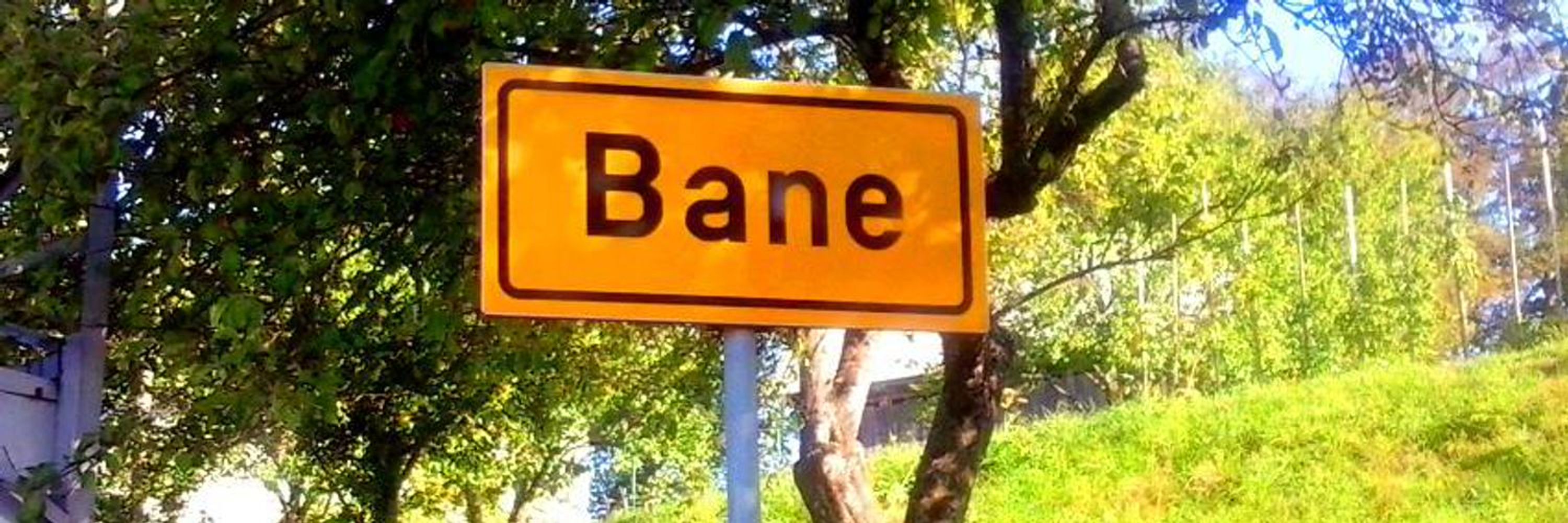 Bane