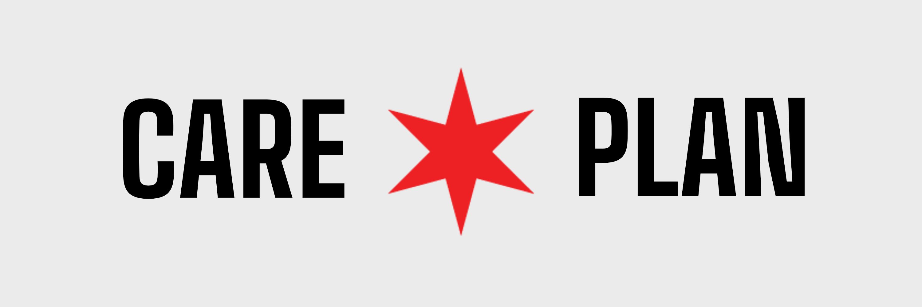 Chicago Area Resource & Education Public Library Action Network
