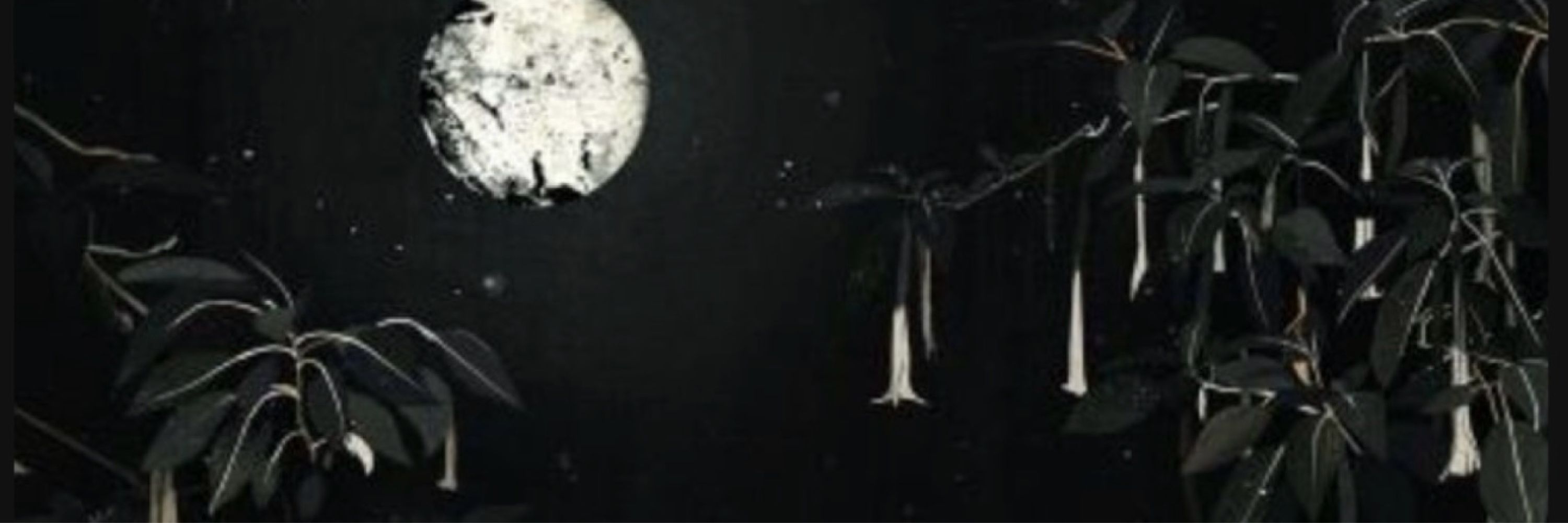 Vespera Nyx / Moon Goddess