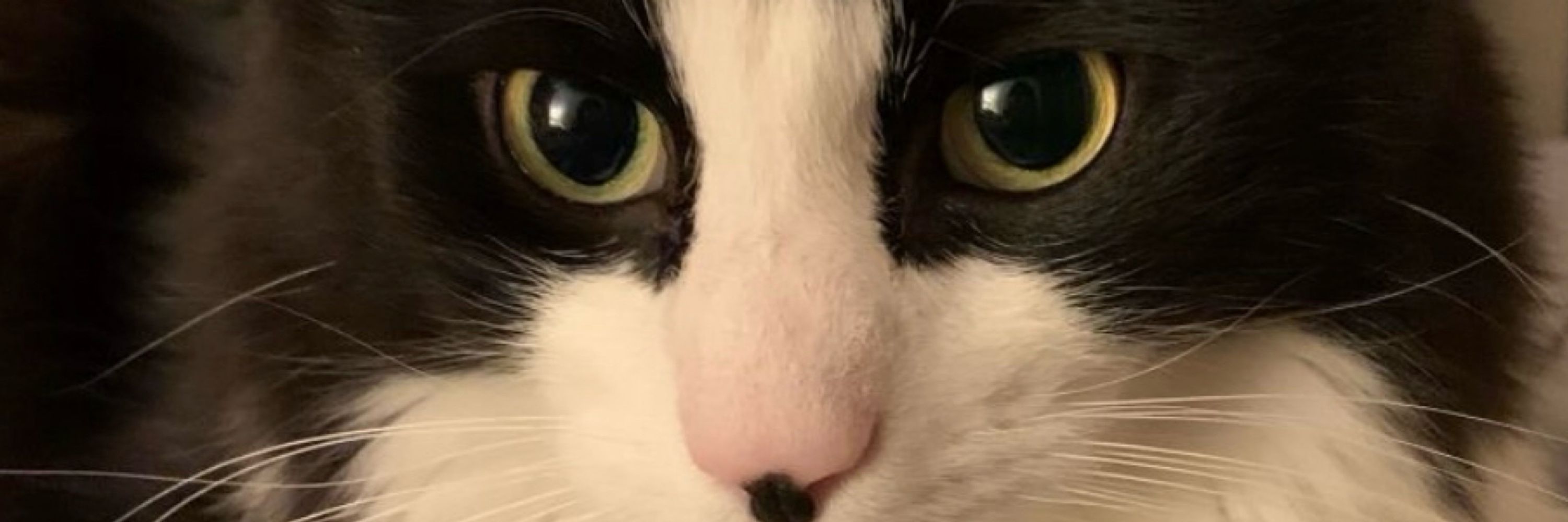 Sam