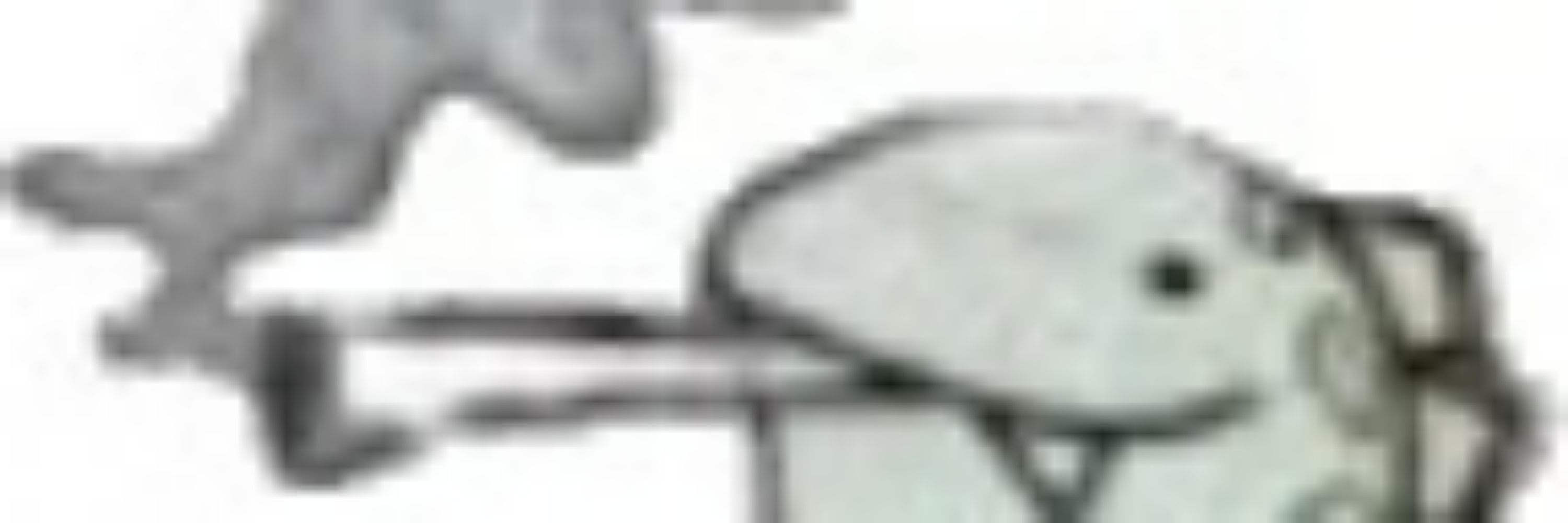 Kyukat_