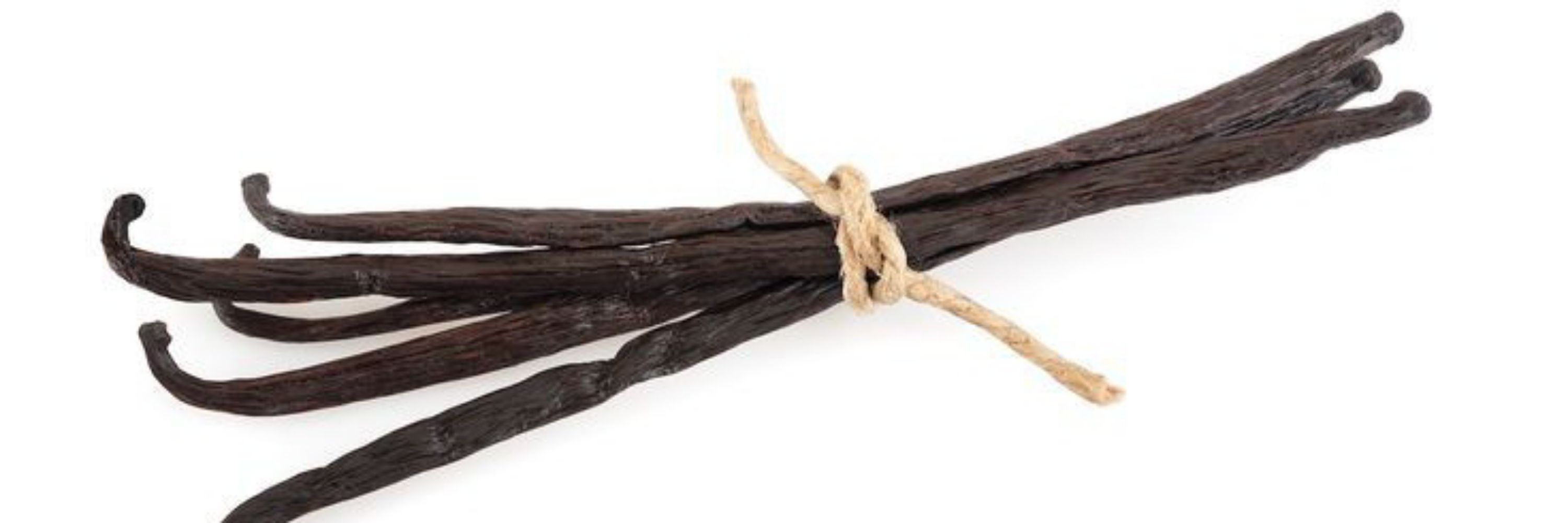vanilla