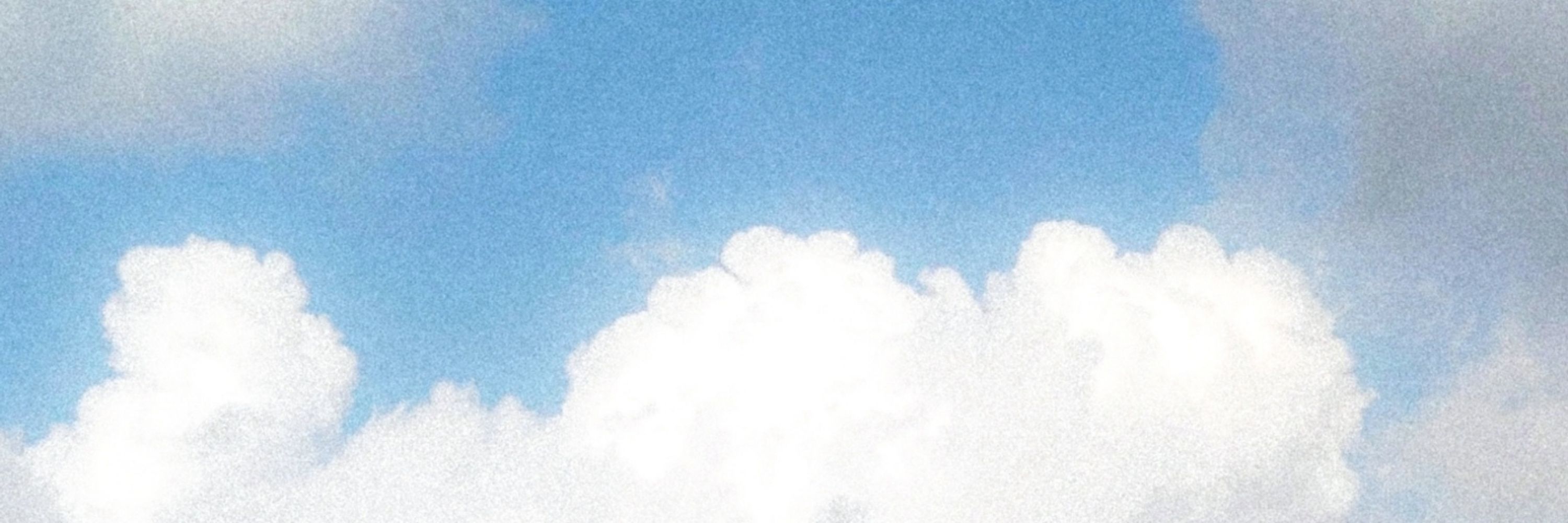 藤