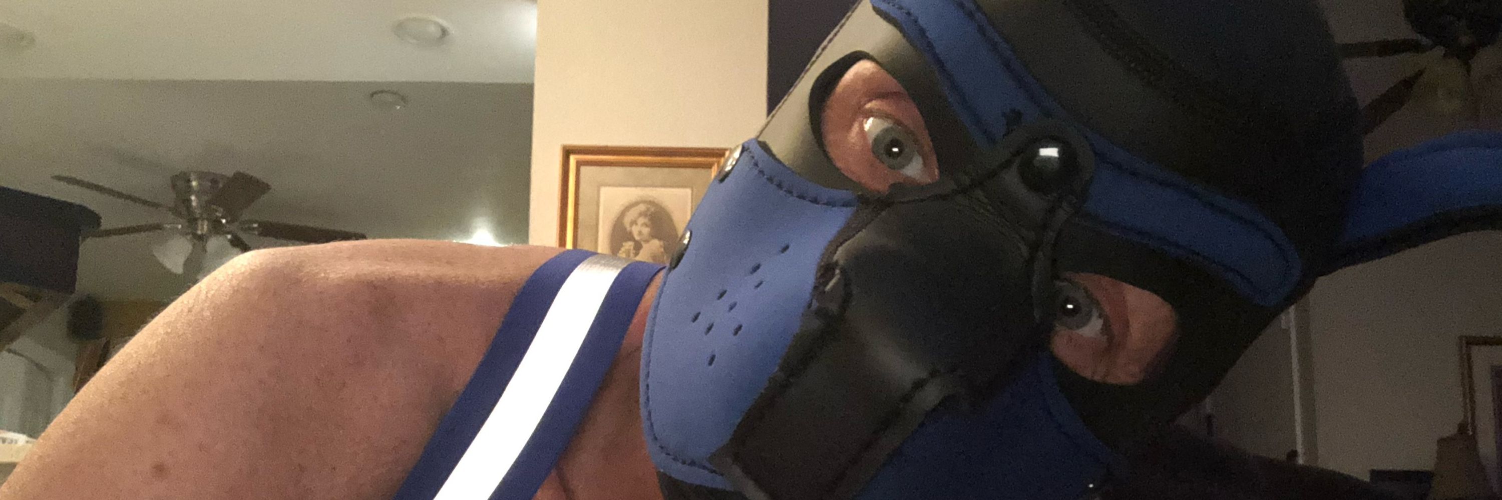 Pup BeeJ