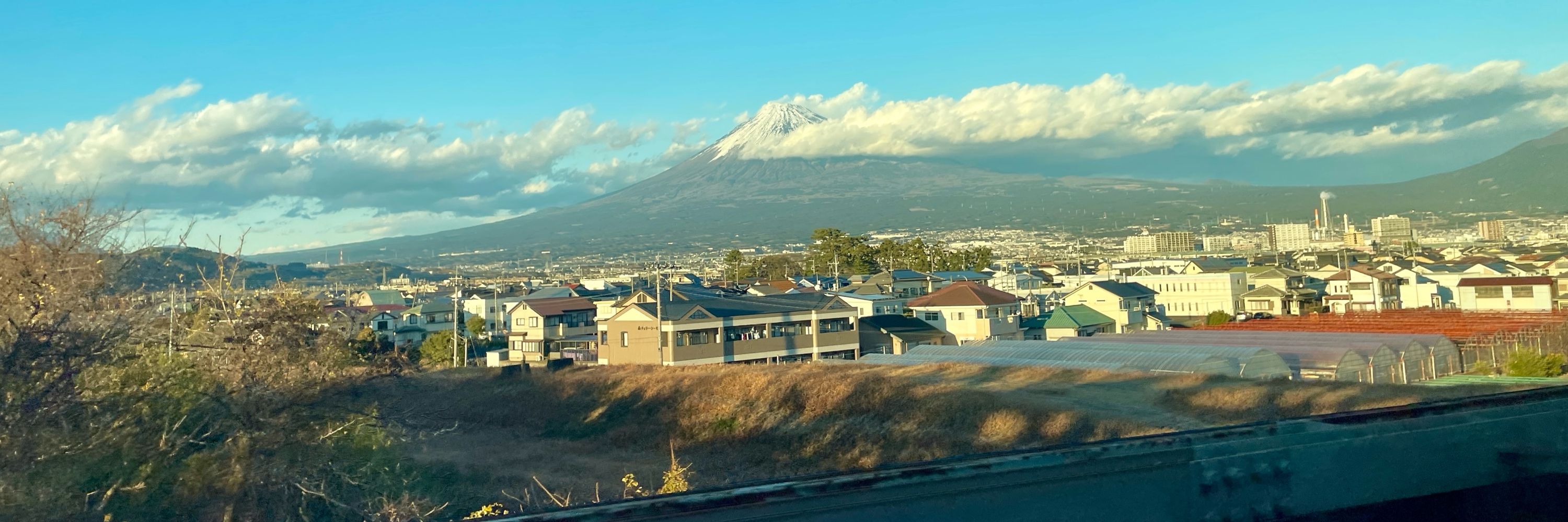 ﾐｶﾂﾞｷﾓ
