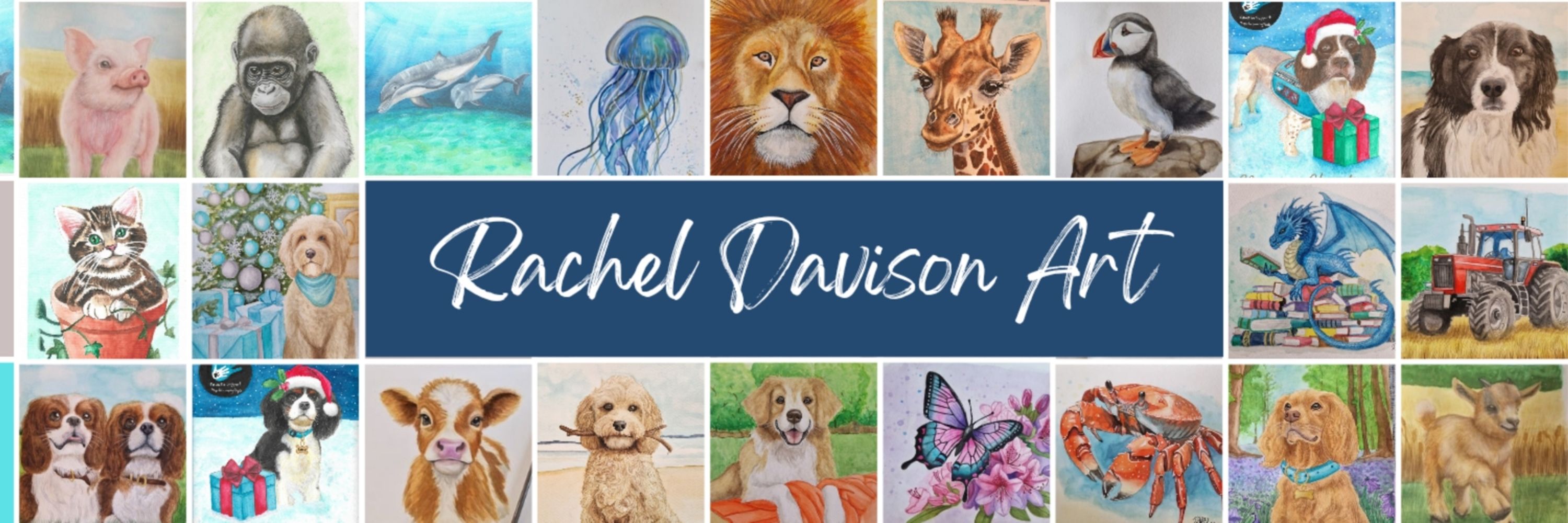 Rachel Le Mesurier - Author