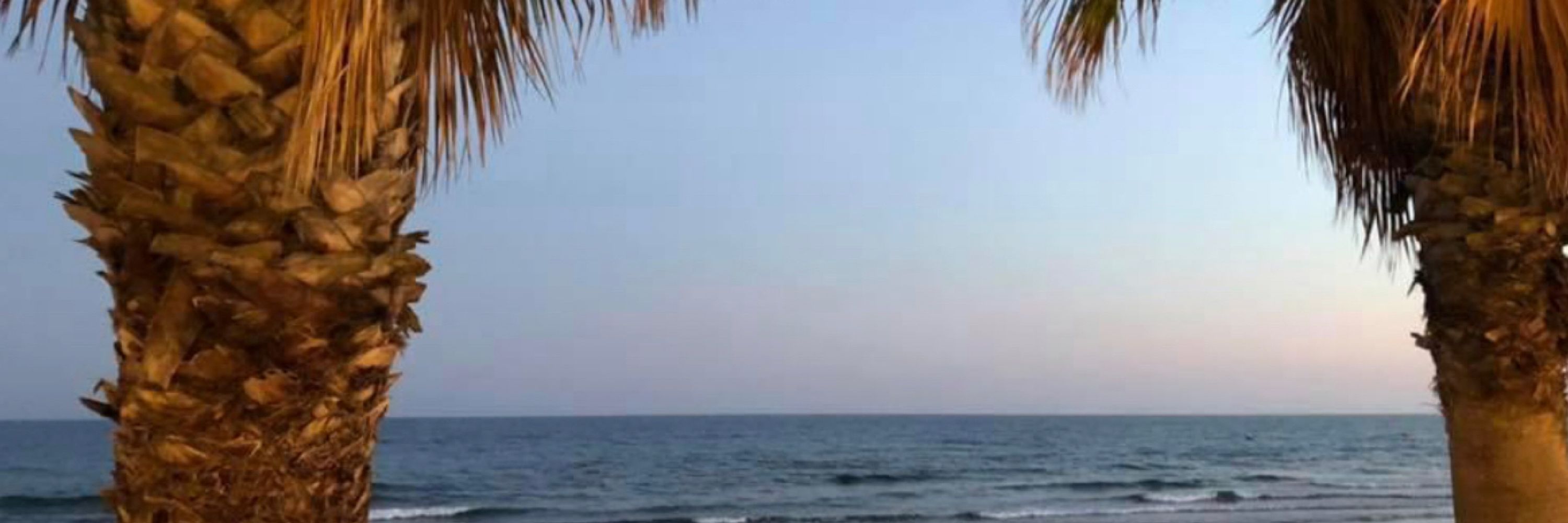 Irma Clots-Figueras