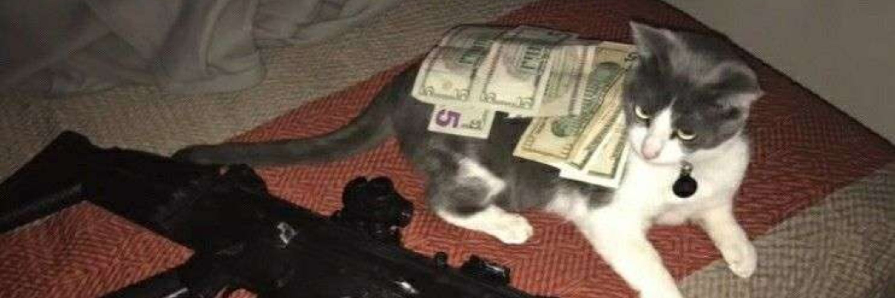 Joak$