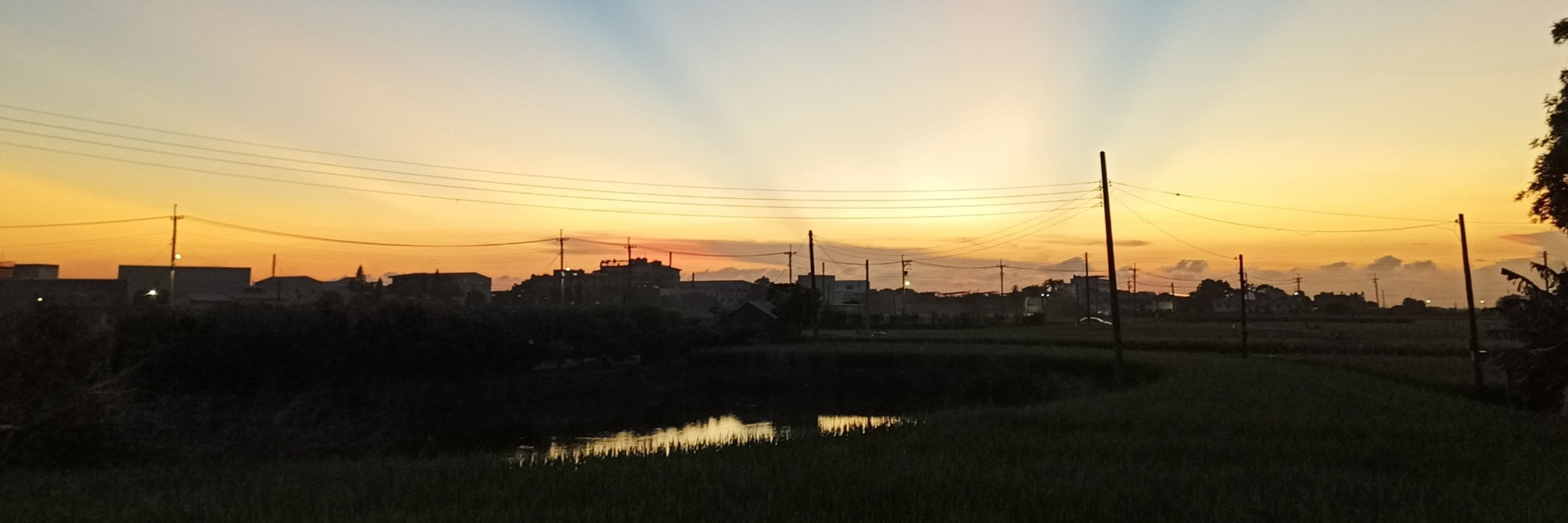 熊大