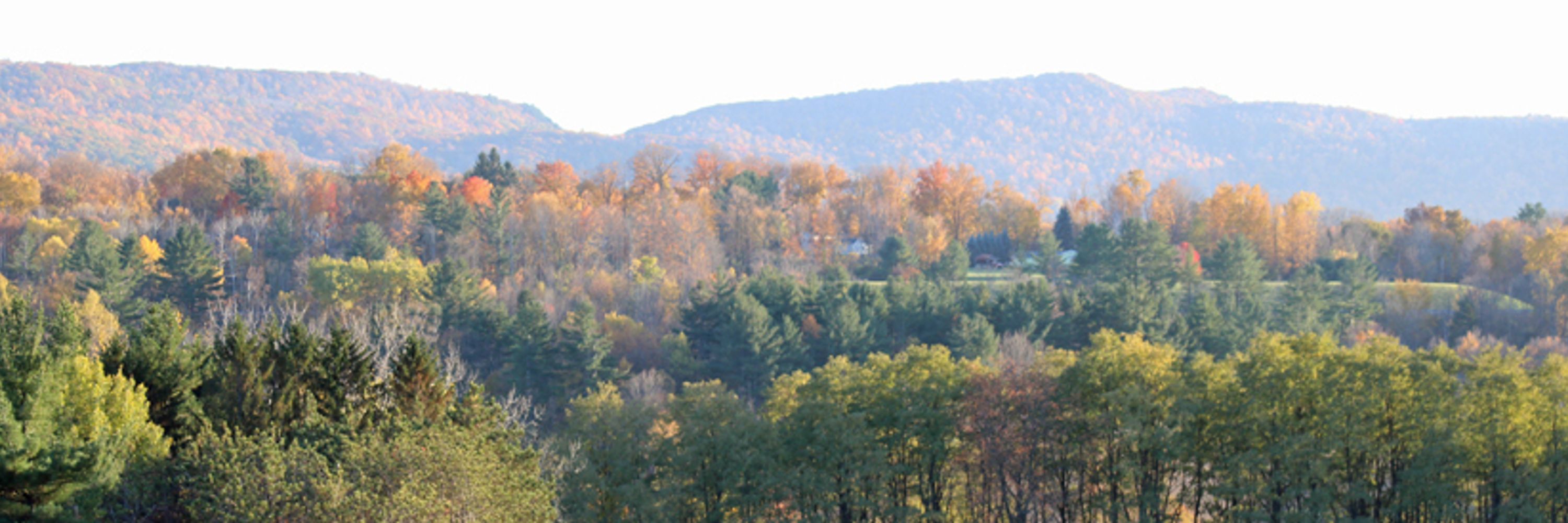 Association for the Study of Literature and Environment