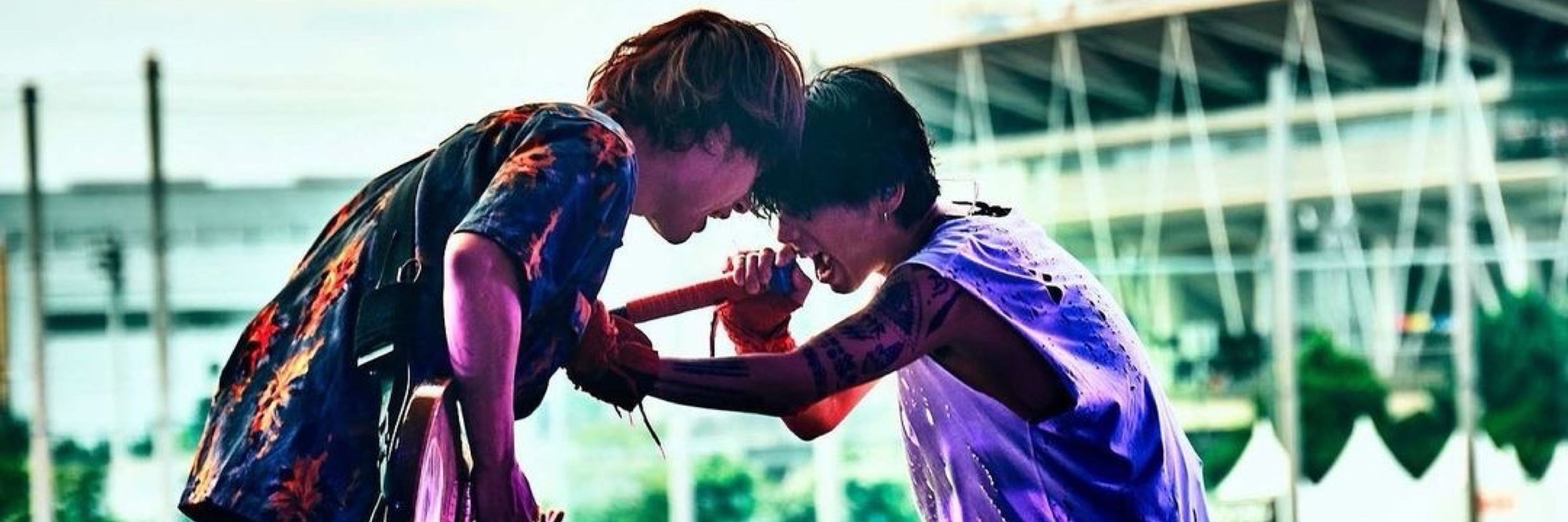 🌴🐰∙°⋆🔗⋆°∙🦁🐰