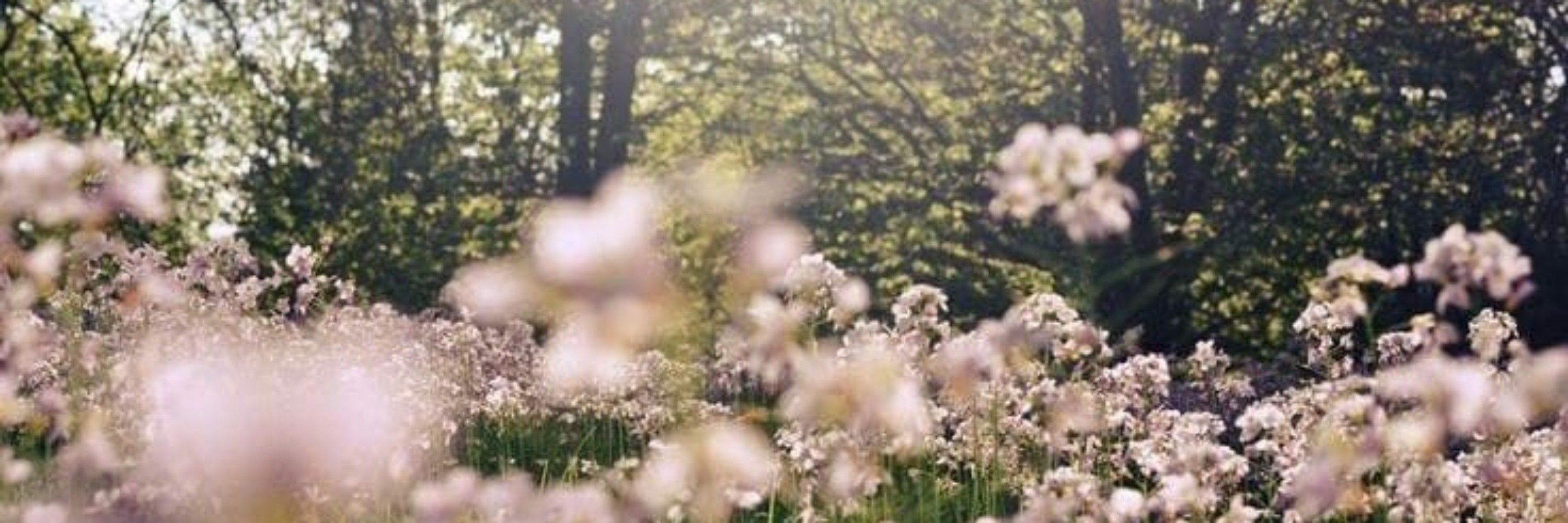 yin🌷