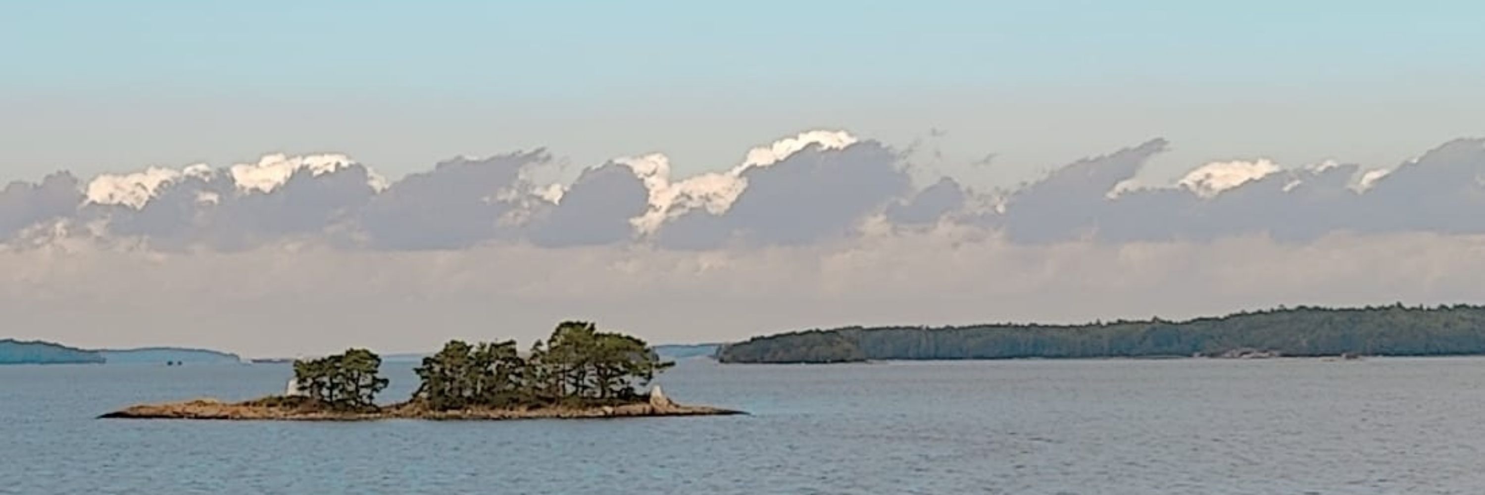 AmayaKvi