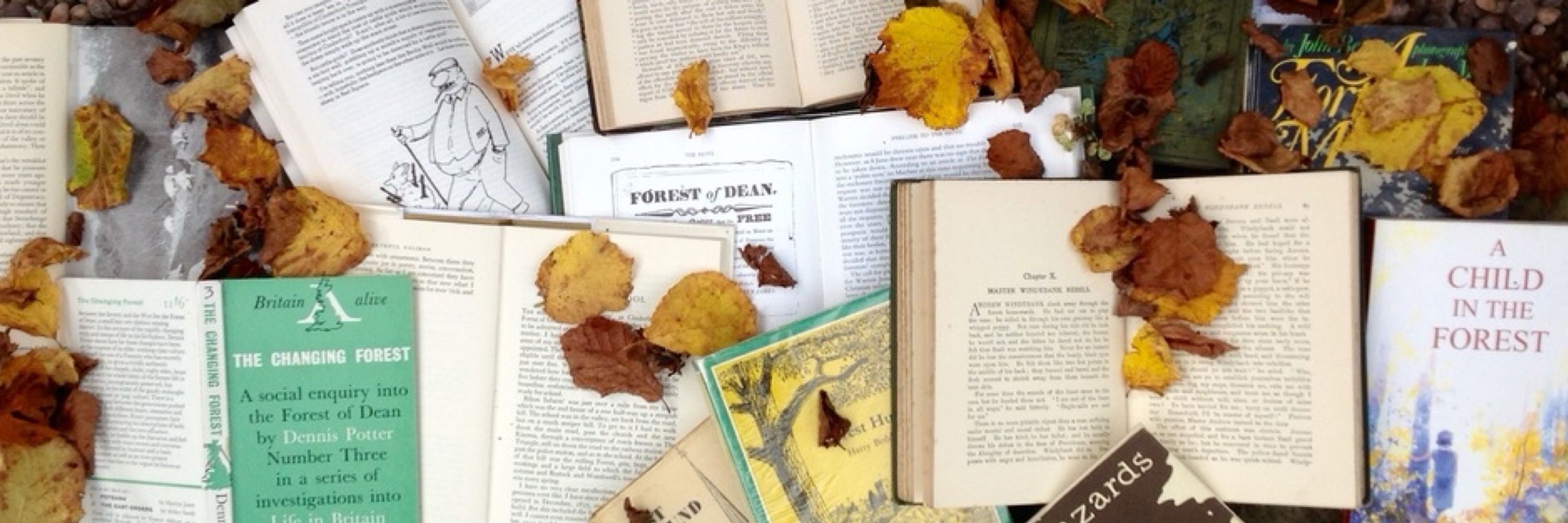 Reading the Forest