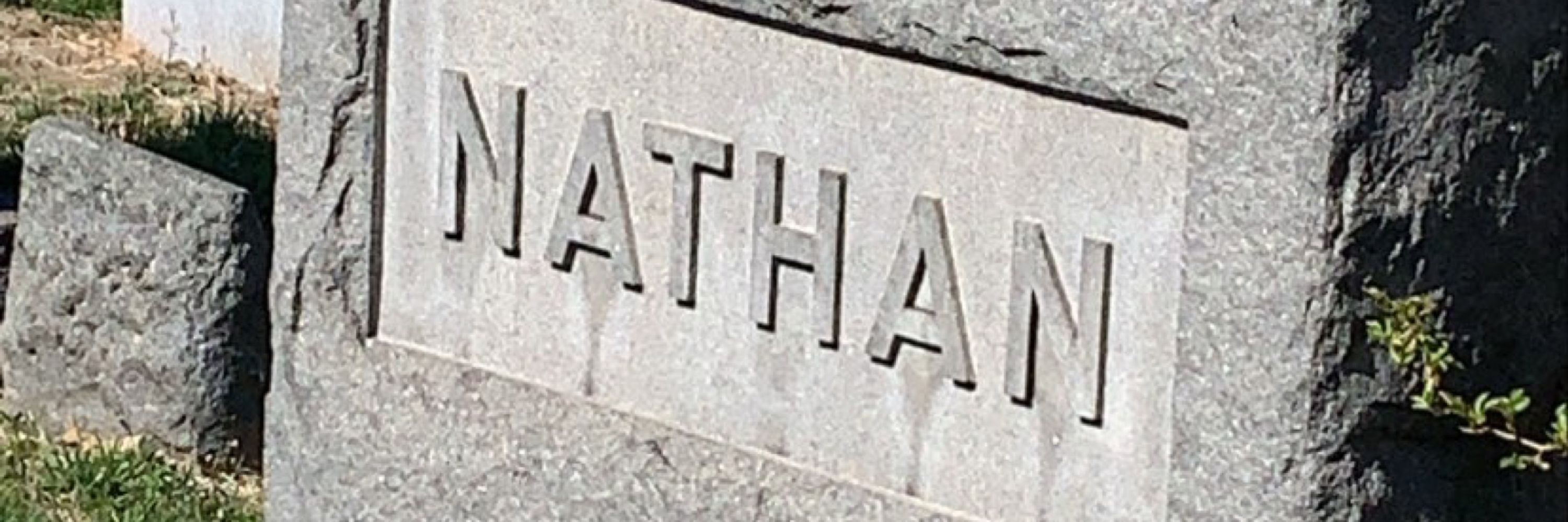 Nathan Lane