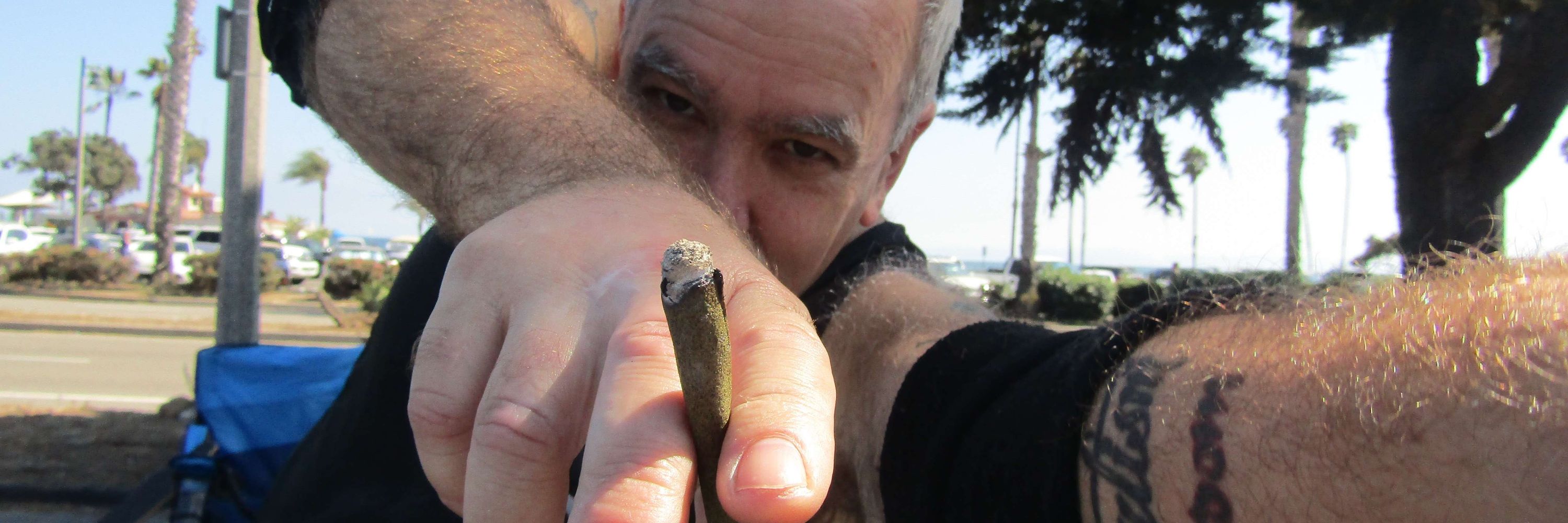 Mike Robinson, The Researcher OG ~ #CannabisMyMedicine