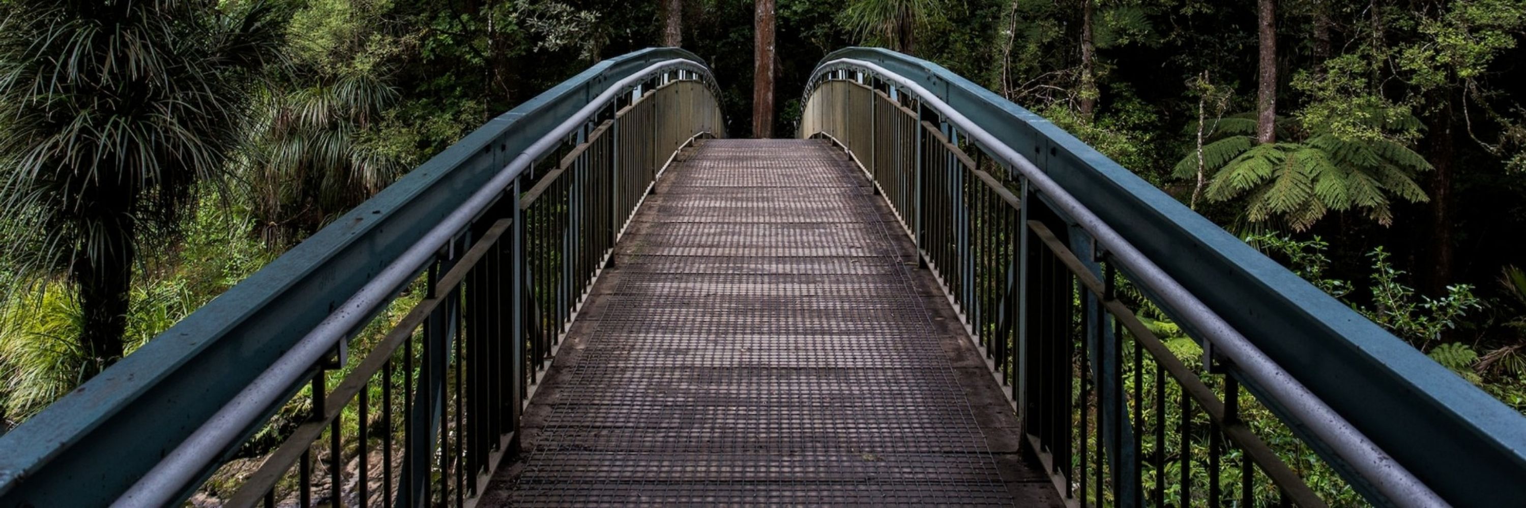 Path To Paradise 24434
