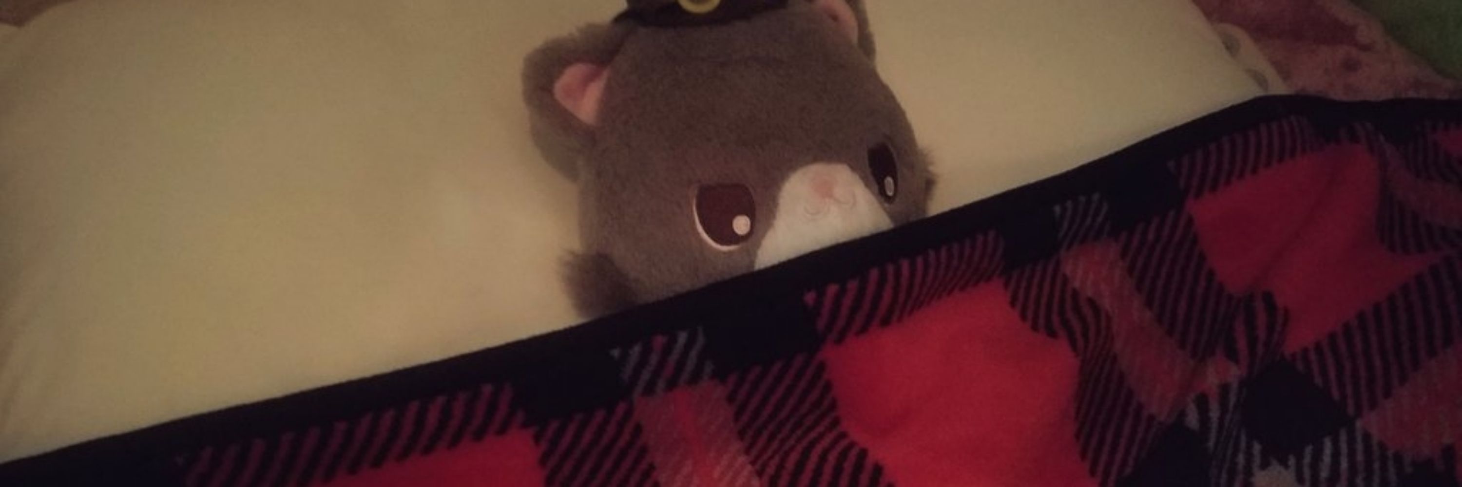 ぼんた