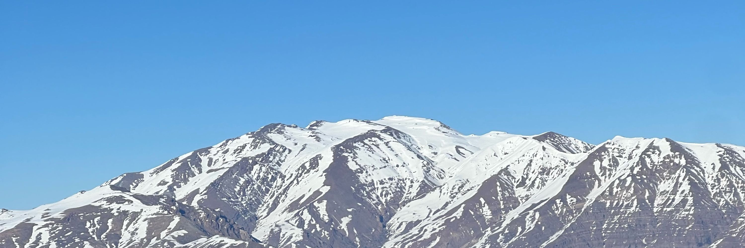 Lusca 