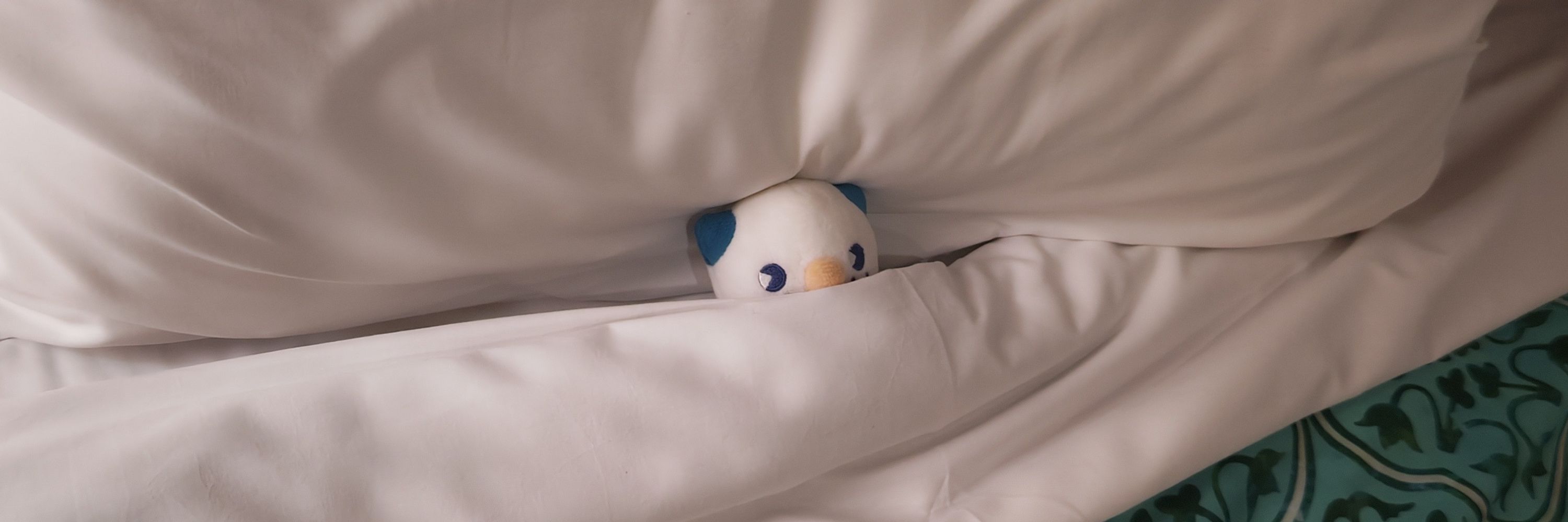 ねおくん