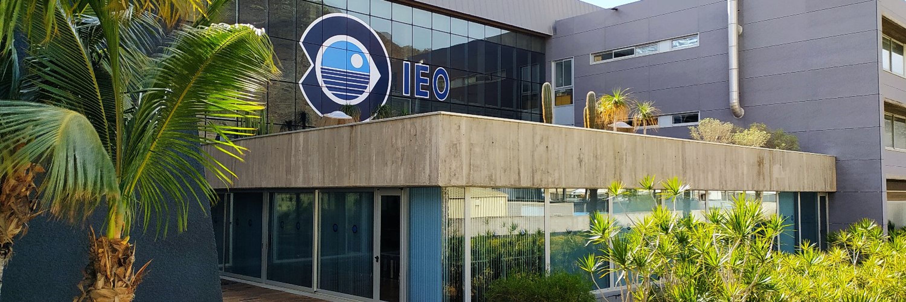 IEO Canarias