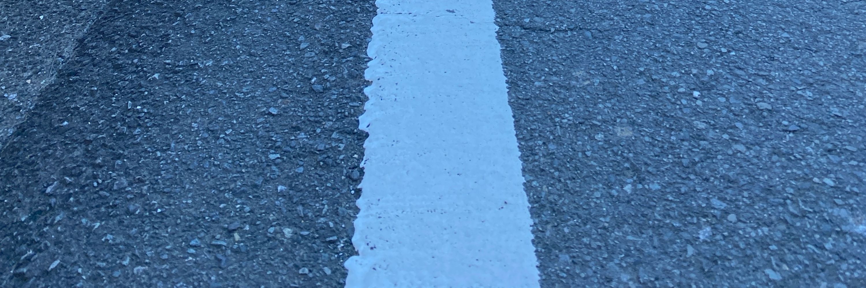 ユキニン