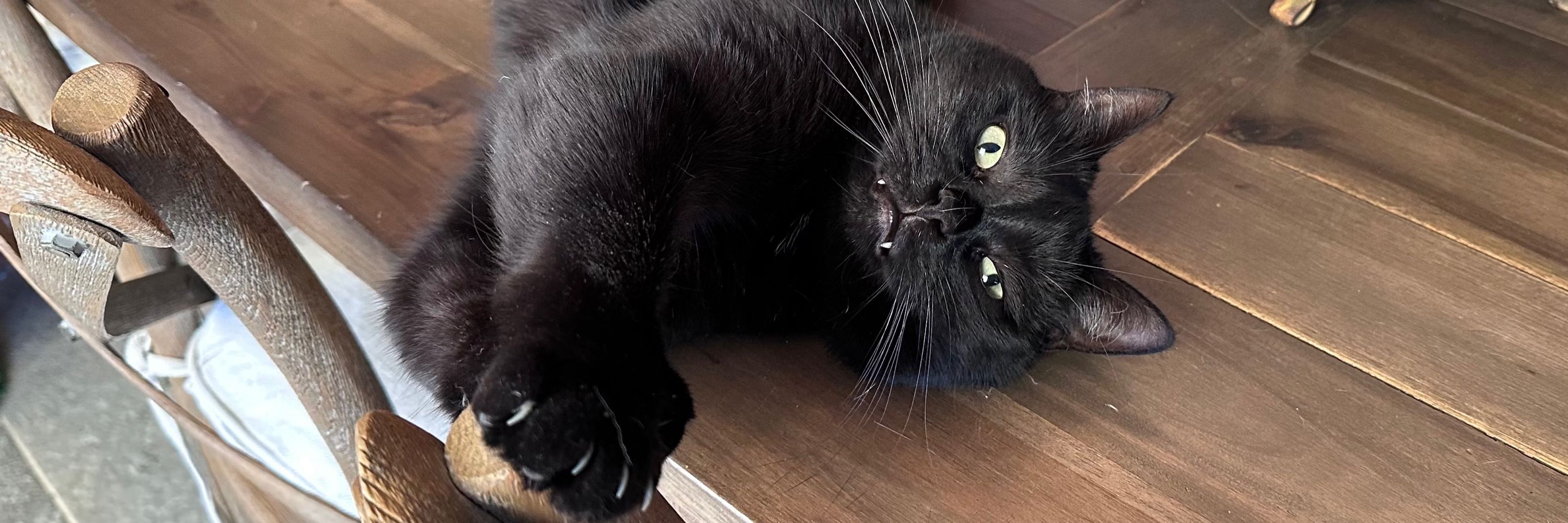 MeowMeow