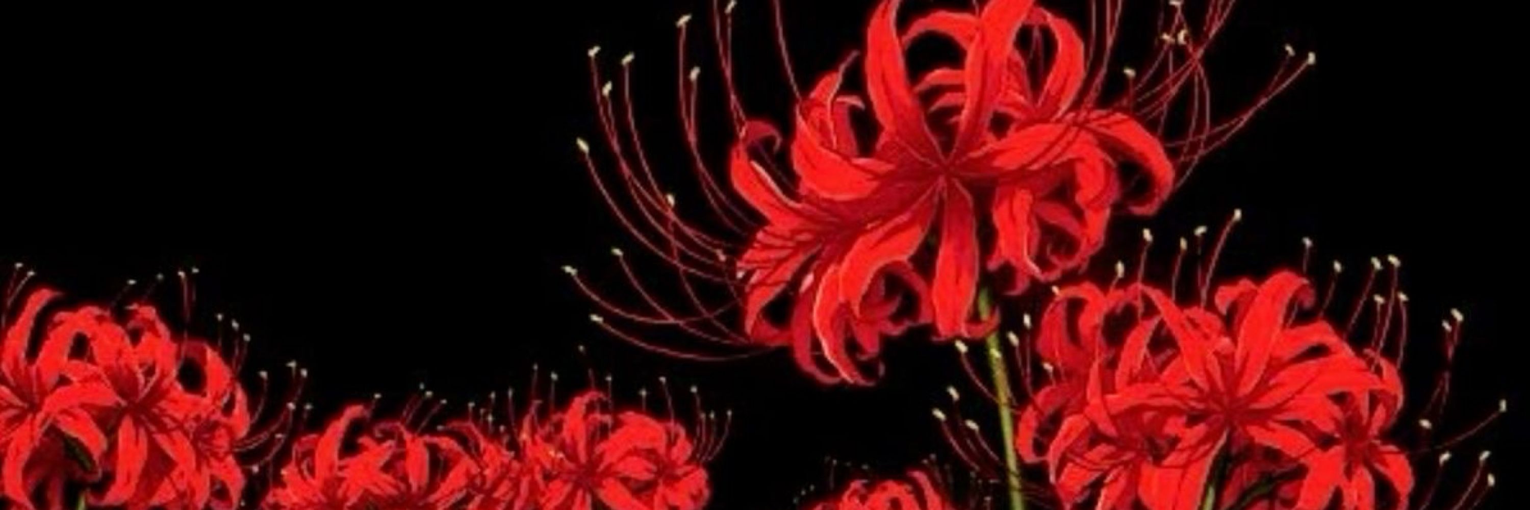 Lilyvette A.