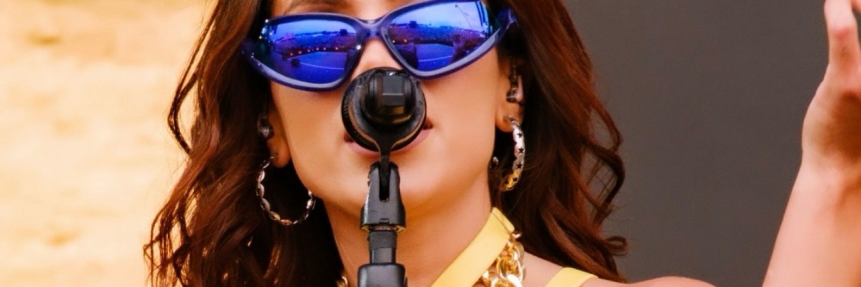 Anitta Botafoguense 