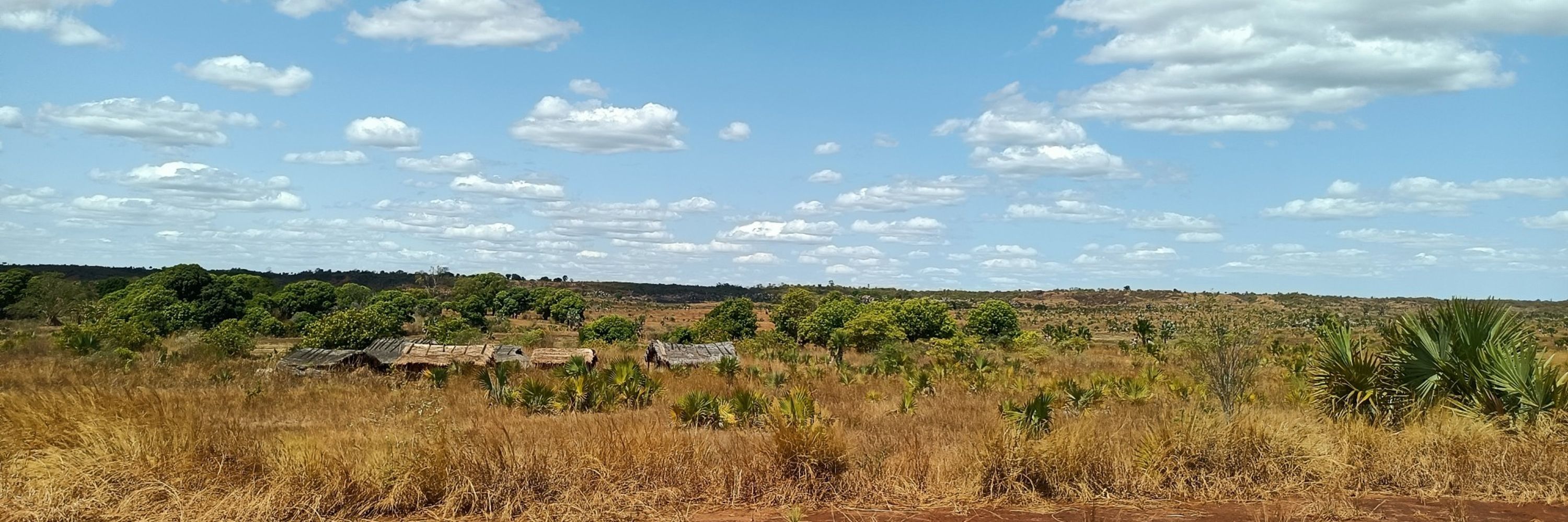 Rajo
