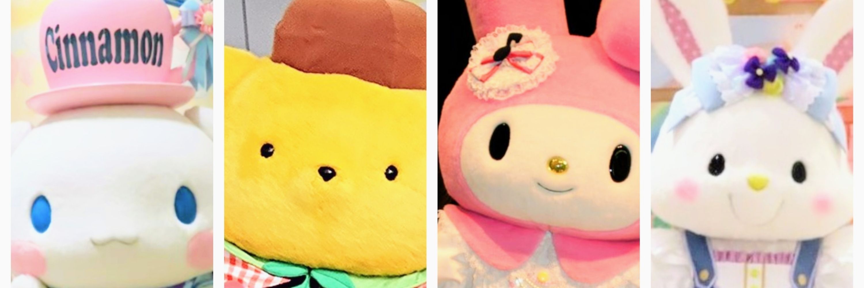 やすKun