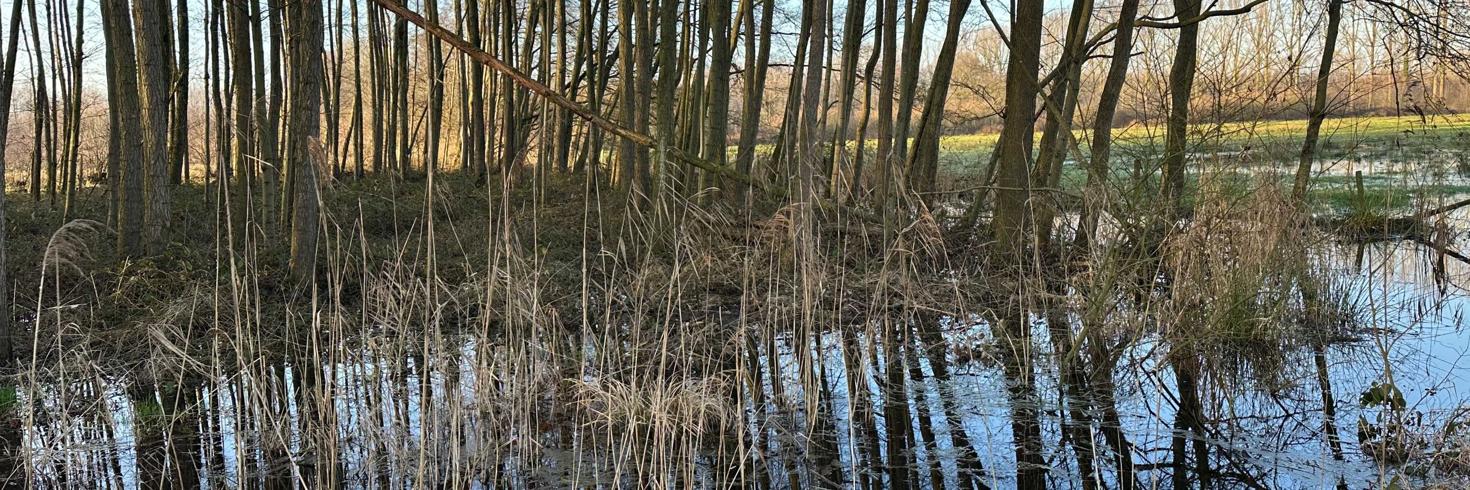 'sMelssleMs' Hans Mellendijk