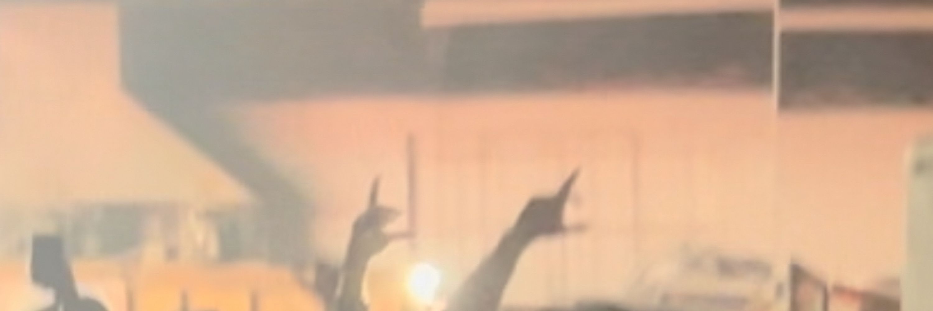 ozzglor