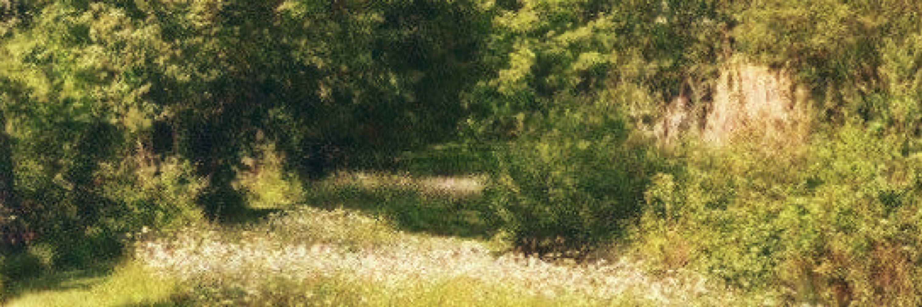 em ☆