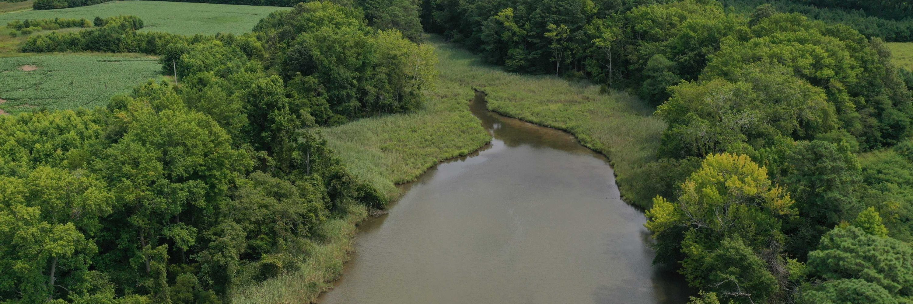 Eastern Shore Land Conservancy