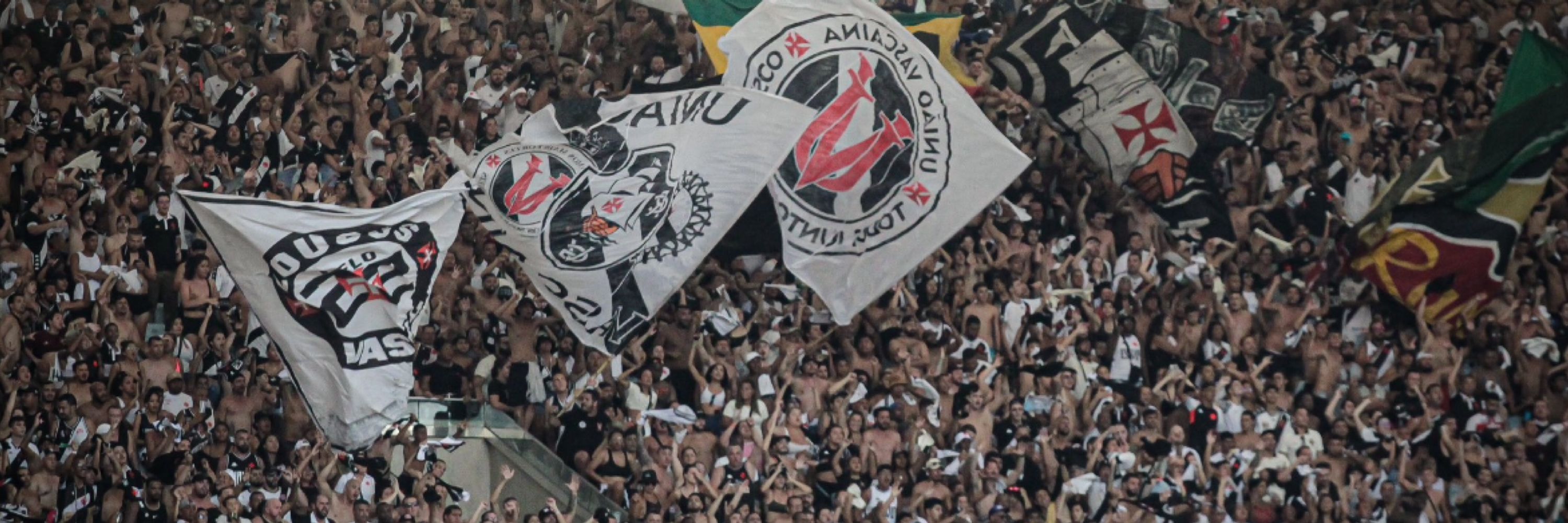 andrepitta 