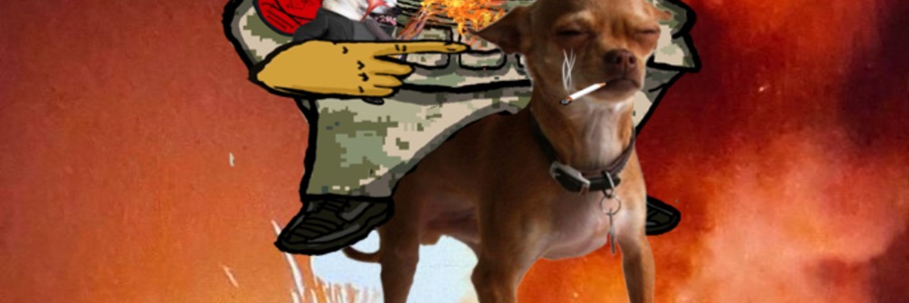 CaptainChihuahua